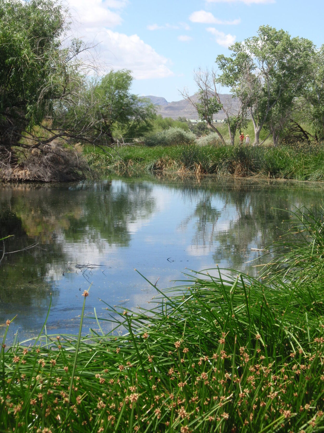 Travels with Two Sisters: Visiting watery desert oases